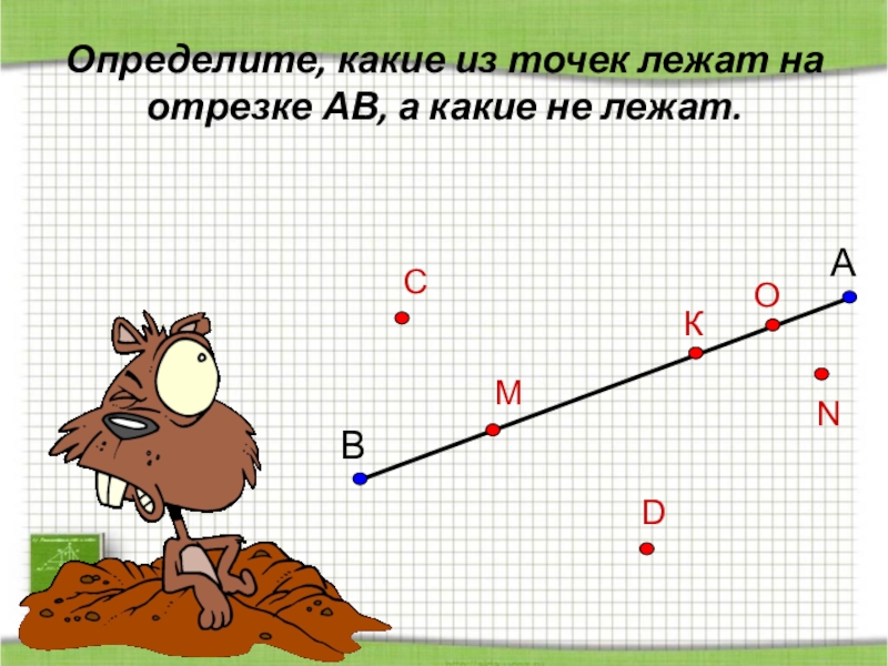 Какие точки лежат на отрезке. Отрезок. Тема отрезок. Задание по математике 5 класс отрезки. Отрезки в математике.