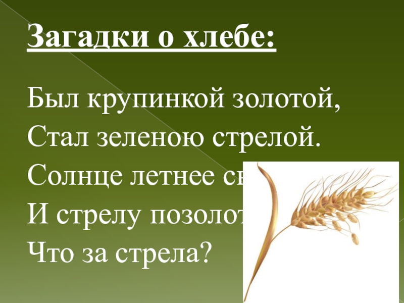 Золото загадка. Загадки про хлеб. Загадки про хлеб для детей. Загадки о хлебе для дошкольников 5-6 лет. Загадка про хлеб для детей 6-7 лет.