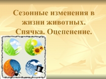 Презентация по экологии животных на тему Сезонные изменения в жизни животных (7 класс)