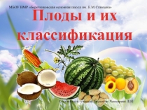 Презентация по биологии 6 класс ФГООС на тему Плоды