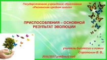 Презентация Приспособления – основной результат эволюции