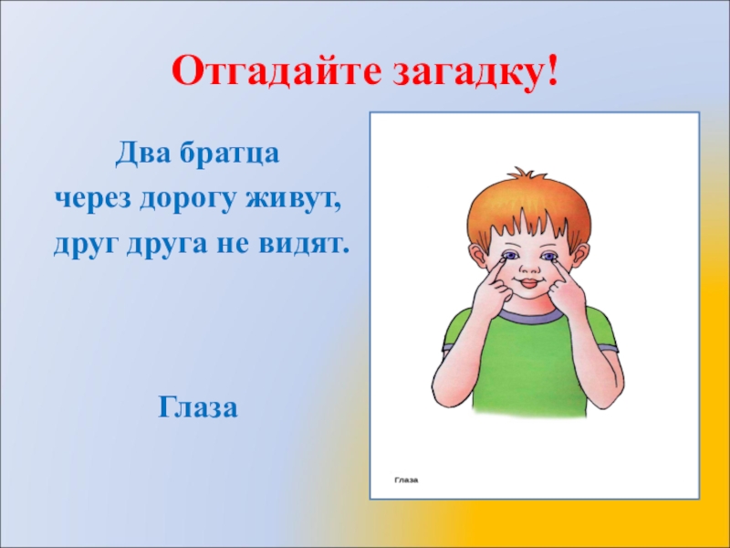 Загадка глаз. Два братца через дорогу живут. Урок мир природы и человека 1 класс 8 вид глаза. Два брата через дорогу живут а друг друга не видят. Загадка два брата через дорогу живут а друг друга не видят.