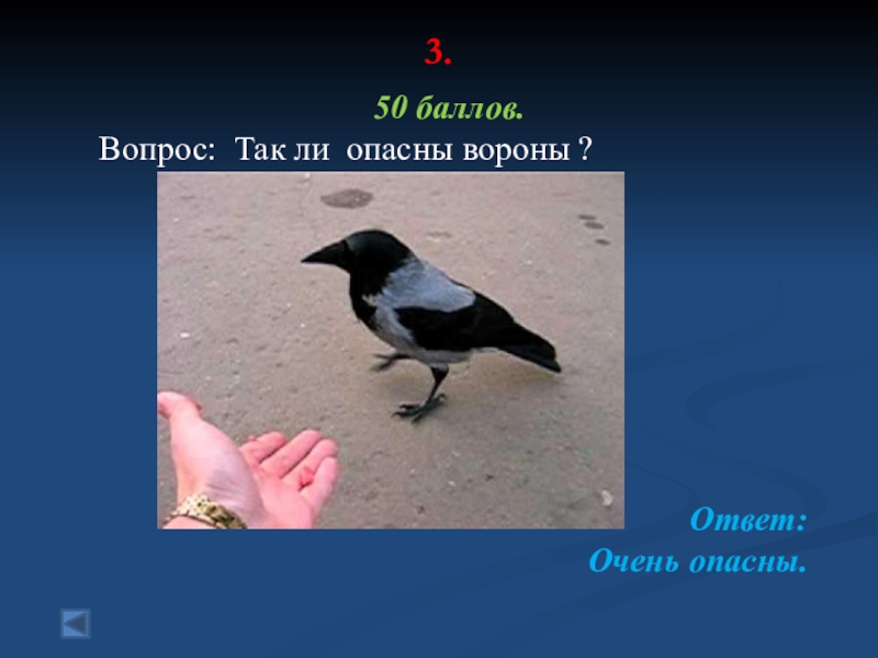 Так ли плохо быть вороной. Опасные вороны. Ворона ядовитые. Ответ ворона. Ядовитый ворон.