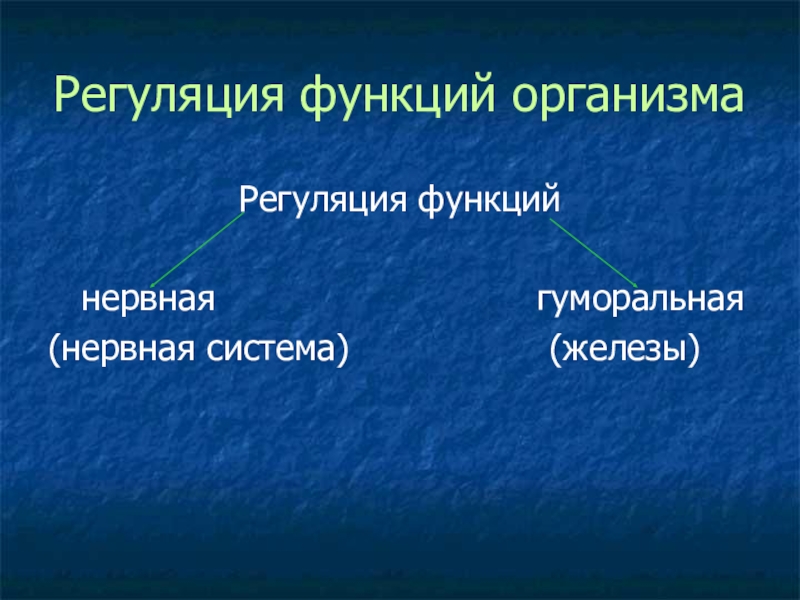 Нейрогуморальная регуляция 6 класс презентация