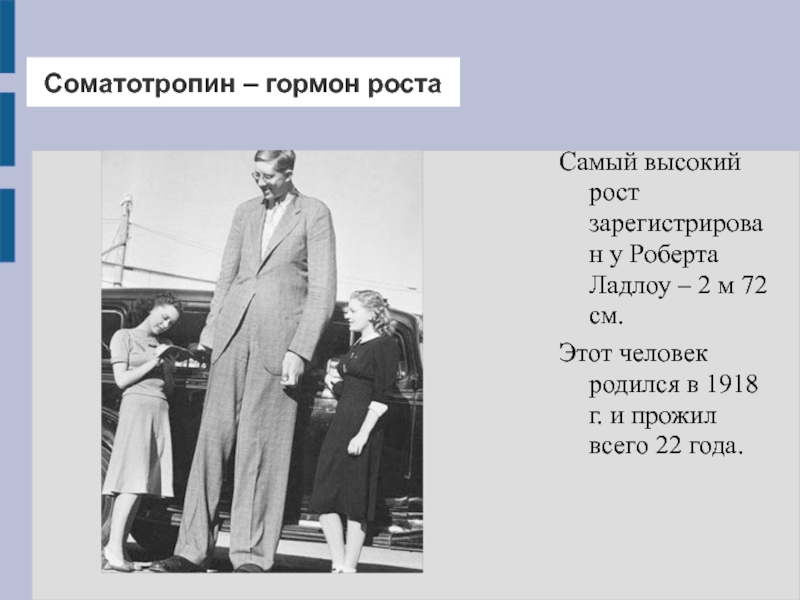 Соматотропин. Гормон роста. Соматотропин человека. Соматотропина – гормона роста.. Гормон влияющий на рост человека.