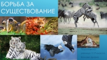Презентация по биологии: Борьба за существование
