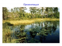 Презентация по литературе к уроку по творчеству В.П. Астафьева Васюткино озеро