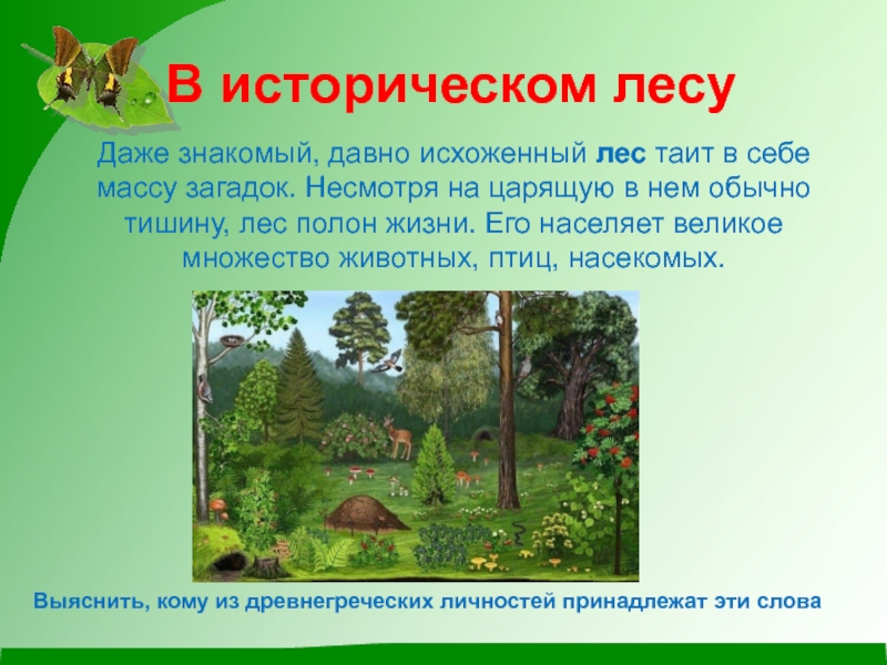 Аудио рассказ лес. Лес полон. Рассказ о лесе. Текст про лес. Интересная история в лесу.