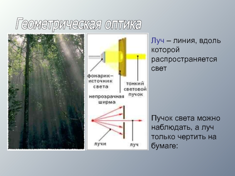 Пучок света рисунок. Геометрическая оптика световой Луч. Световой пучок. Световой пучок и световой Луч. Источники световых лучей.