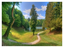 Презентация по биологии для 5 класса