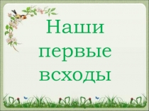 Проектная деятельность по окружающему миру Мои первые всходы
