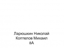 Строение и функцииспинного мозга