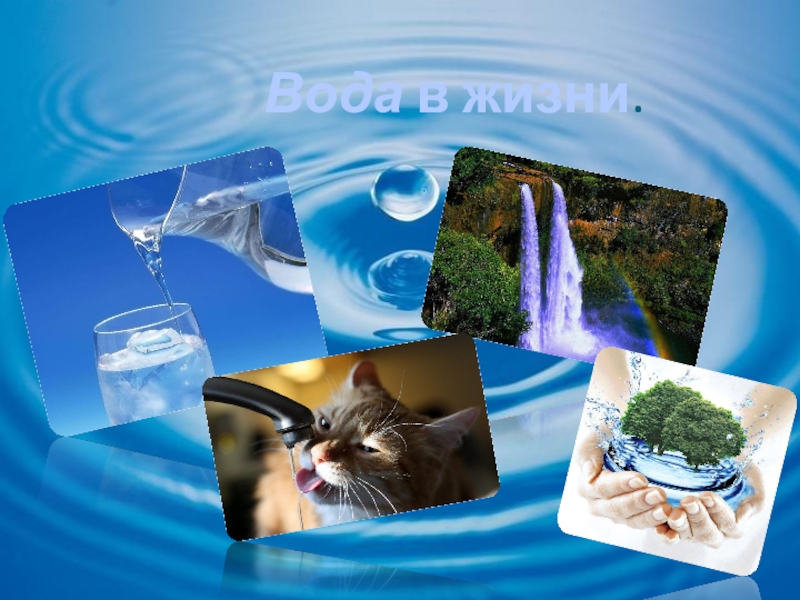 Проект мир воды