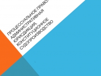 Презентация по обществознанию на тему Процессуальное праве: административная юрисдикция, конституционное судопроизводство