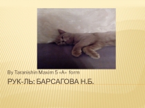 The project about my pet by Taranishin M. 5A form
