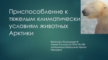 Урок-презентация Приспособление к тяжелым климатическим условиям животных Арктики