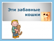 Эти забавные кошки