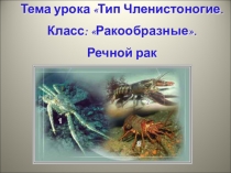 Презентация по биологии на тему Образ жизни речного рака (7 клаас)