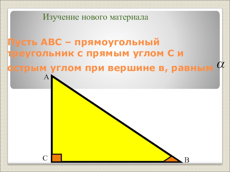 Пусть abc прямоугольный треугольник. Треугольник с прямым углом. Прямой угол в прямоугольном треугольнике. Прямой прямоугольный треугольник. Треугольник с прямым углом на прямой.