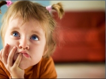 Изображение форм листовых пластинок деревьев, произрастающих на территории Архангельской области