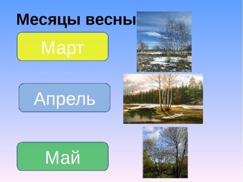 Весенние месяцы. Месяцы весны. Месяцы март апрель май. Апрель весенний месяц.