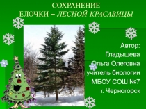 Презентация Сохраним елочку - красавицу наших лесов!