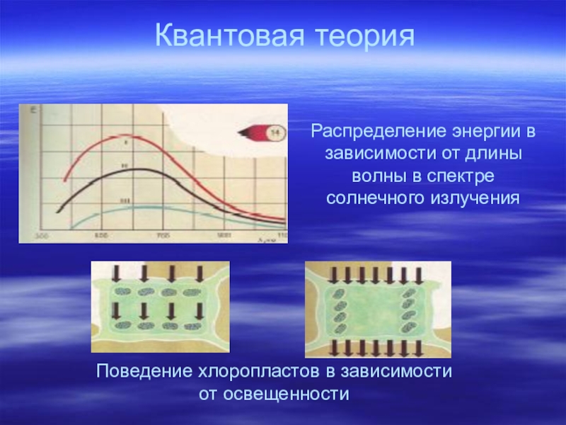 Квантовая теория. Квантовая теория кратко. Квантовая теория Кванта. Сущность квантовой теории.