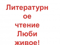 Презентация к разделу Люби живое. В. В. Бианки Мышонок Пик