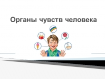 Презентация по физической культуре на тему Органы чувств человека
