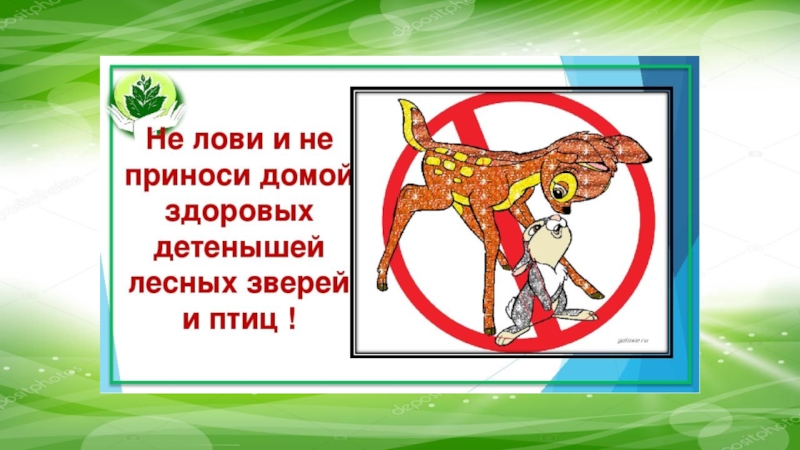 ПРЕЗЕНТАЦИЯ К КЛАССНОМУ ЧАСУ 1 КЛАСС НА ТЕМУ ПРИРОДА И МЫ