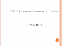 Презентация по дисциплине Технология кожевенного производства на тему Золение