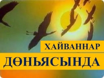 Презентация по татарскому языку на тему Хайваннар дөньясында (4 класс)