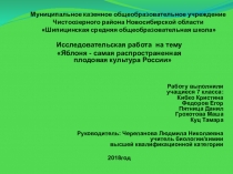 Презентация к исследовательской работе