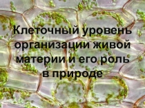 Тезисы по биологии на тему Клеточный уровень организации живой материи (11 класс)