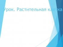 Презентация по биологии на тему  Растительная клетка(6 класс)