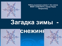 Исследовательская работа по теме Загадка зимы - снежинка