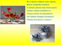 Виды корней. Типы корневых систем