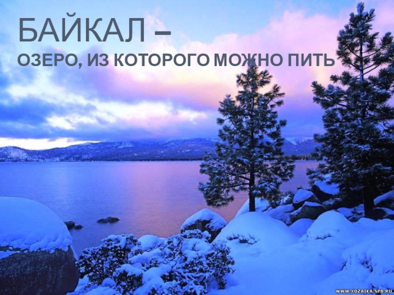 Презентация Презентация по окружающему миру на тему Байкал - озеро из которого можно пить.