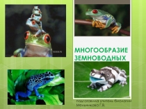 Презентация по биологии на тему Многообразие земноводных (7 класс)