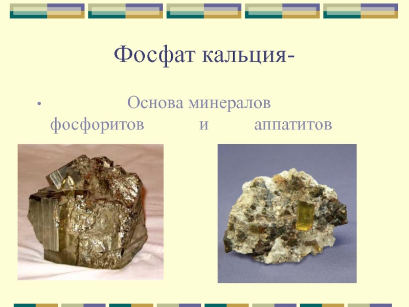 Фосфат кальция-         Основа минералов