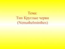 Презентация по биологии 7 класс на темукруглые черви