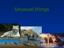 Презентация по английскому языку Unusual things