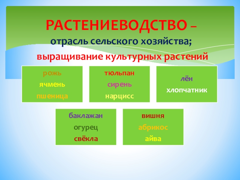 Окружающий мир тест животноводство. Отрасли растениеводства. Растениеводство в России таблица. Сообщение о отрасли растениеводства. Растениеводство текст.