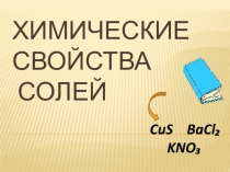 Презентация: Химические свойства солей
