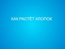 Презентация по окружающему миру на тему Как растёт хлопок