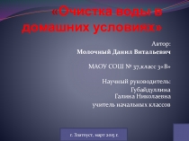 Научно-исследовательский проект по теме Очистка воды в домашних условиях