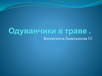 Презентация Одуванчики в траве