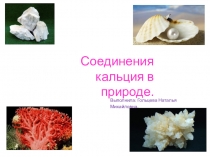 Презентация по химии на тему Соединения кальция в природе (9 класс)