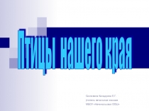 Презентация Птицы нашего края