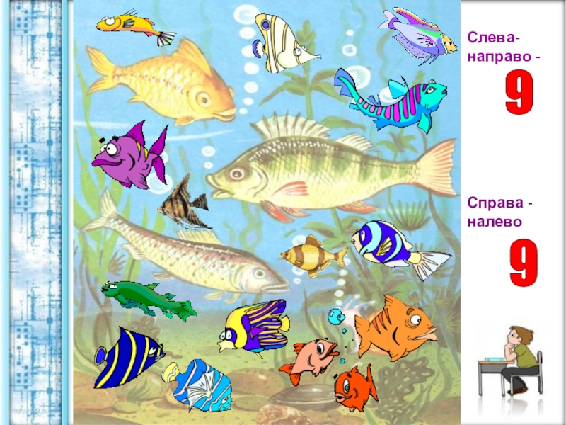 Справа направо. Слева направо справа налево. Слева права направо налево. Рыбки направо налево. Презентация тема рыбы развитие речи.